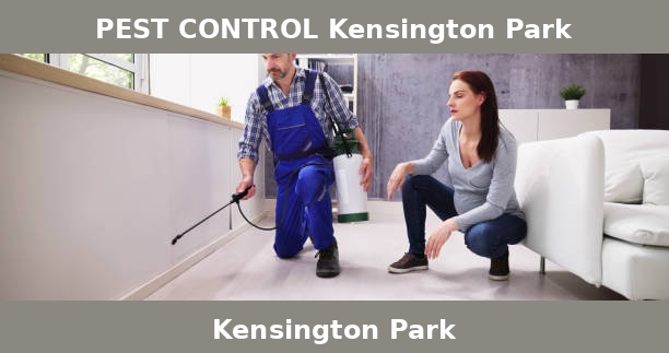PEST CONTROL Kensington Park